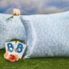 imageKitsch x Bridgerton Satin Pillowcase with Zipper for Hair Skin Softer Than Silk Pillow Cases WrinkleFree Cooling Satin Pillow Covers Bridgerton  Toile De Blue Standard Size 19quotx26quotBridgerton  Toile De Blue