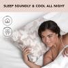 imageKitsch Holiday Satin Pillowcase with Zipper for Hair and Skin Softer Than Silk Pillow Cases 2 Pack Cooling Pillow Covers Machine Washable WrinkleFree Satin Queen Size Set of 2 19quotx26quot BlushChampagne Butterfly