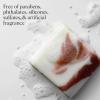 imageKitsch Shea Butter Exfoliating Body Wash Bar  Moisturizing Bar Soap ampamp Gentle Soap Bar with PlantBased Exfoliants  Hydrates Softens ampamp Soothes Skin  Paraben Silicone ampamp SulfateFree  4 oz