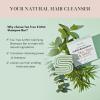 imageKitsch Tea Tree ampamp Mint Shampoo Bar  Anti Dandruff Shampoo for Itchy Scalp and All Hair Types  Natural Hair Shampoo Bar with Mint  Vegan Hair Care Paraben ampamp Sulfate Free Made in USA  32ozTea Tree  Mint Clarifying Shampoo Bar