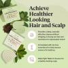 imageKitsch Tea Tree Shampoo and Conditioner Set  Anti Dandruff Shampoo Bar ampamp Conditioner Bar  Hair Care for All Hair Types  Free of Paraben Sulfate ampamp Silicone  Made in USA  2 pcs