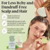 imageKitsch Tea Tree Shampoo and Conditioner Set  Anti Dandruff Shampoo Bar ampamp Conditioner Bar  Hair Care for All Hair Types  Free of Paraben Sulfate ampamp Silicone  Made in USA  2 pcs