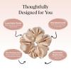 imageBridgerton x Kitsch Satin Scrunchies for Women No Snag No Tugging Soft amp Comfortable Scrunchies for Girls Perfect for Day or Night  Ideal Gifts for Women  Toile De Blue 2pcsChampagne